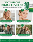 The Longevity Ritual - NAD+ Patches