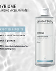 Dermaceutic Laboratoire Oxybiome Micellar Cleansing Water 400ml