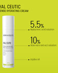 Dermaceutic Laboratoire Hyal Ceutic Intense Moisturiser 40ml