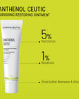 Dermaceutic Laboratoire Panthenol Ceutic Nourishing Restoring Ointment 30g