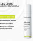 Dermaceutic Pigmentation Skin Kit