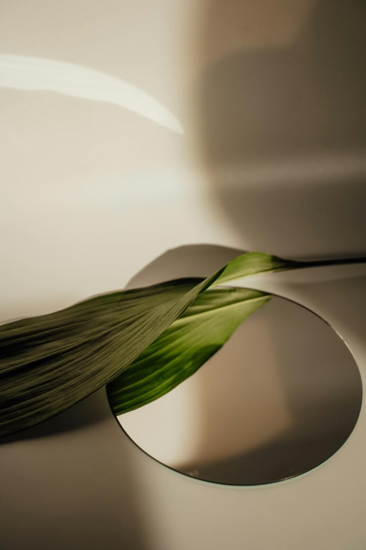 Spring Clean Your Beauty Routine with Noosa Skin Studio