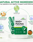 The Longevity Ritual - NAD+ Patches